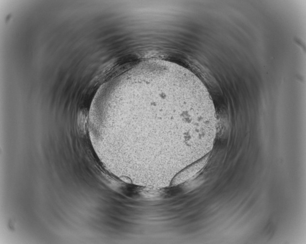 X0000097810142200804111001