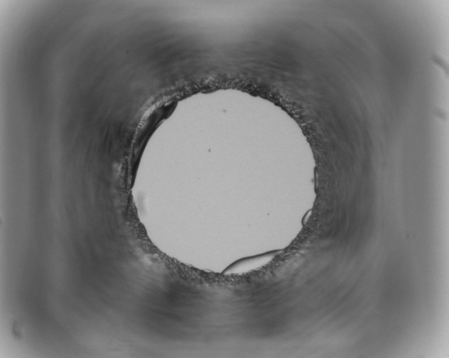 X0000097810144200804111001