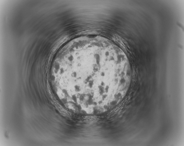 X0000097810145200804111000