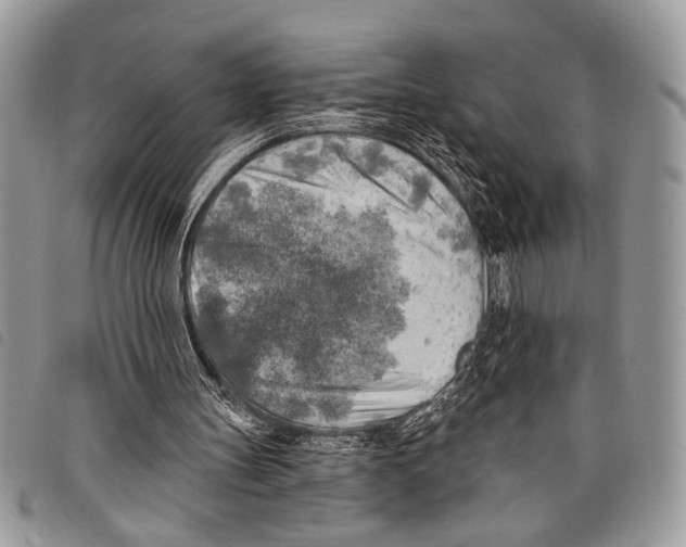 X0000097810147200804111000