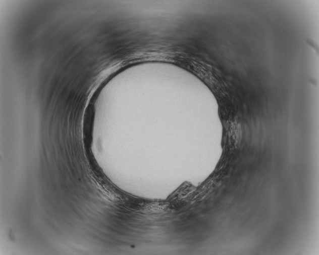 X0000097810148200804111000