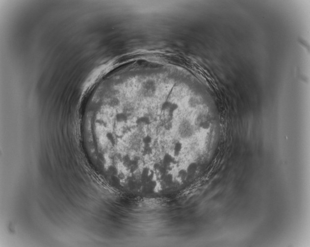 X0000097810149200804111000