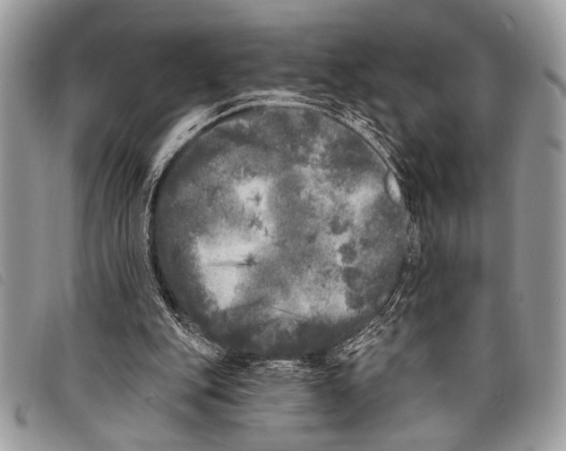 X0000097810151200804111000