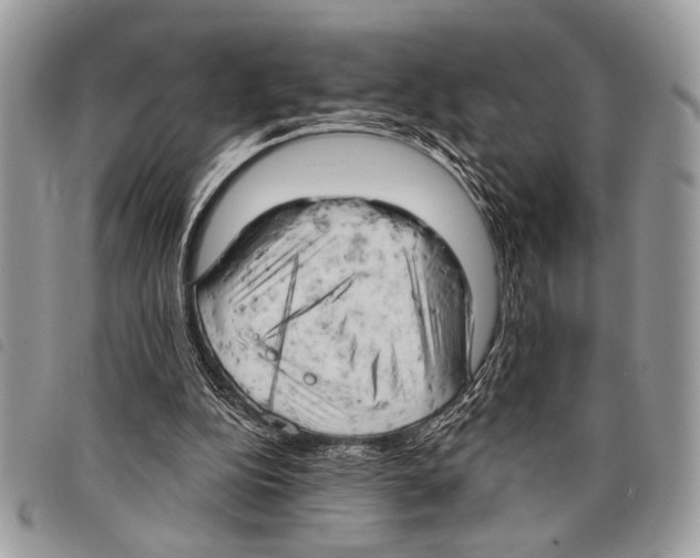 X0000097810152200804111000