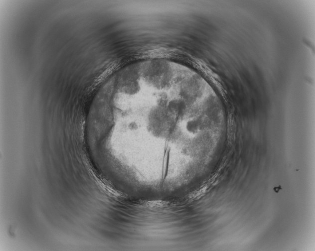 X0000097810153200804111000