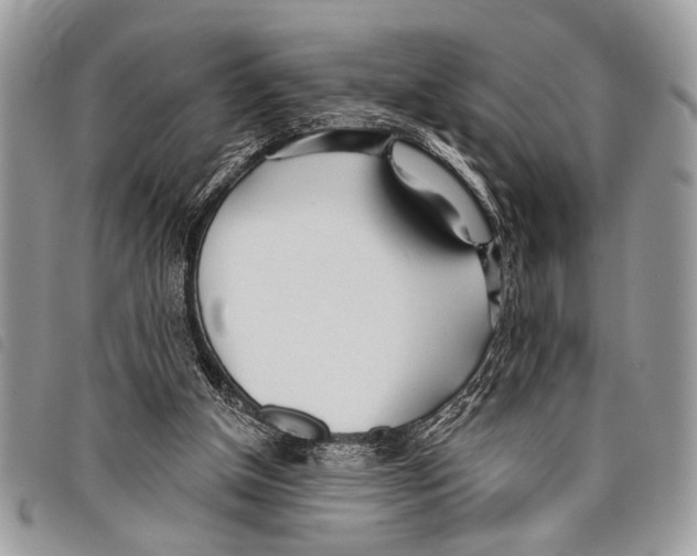 X0000097810154200804111000