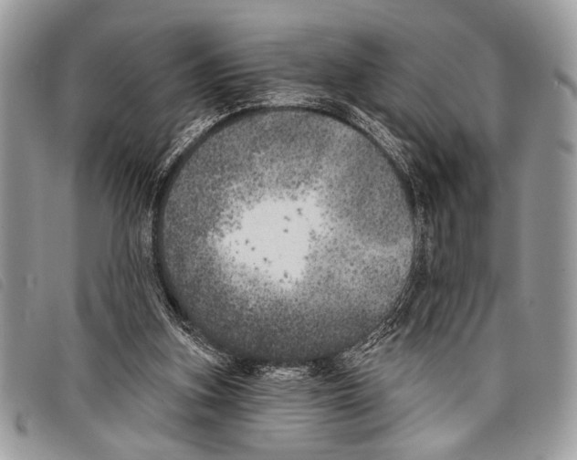 X0000097810155200804111000