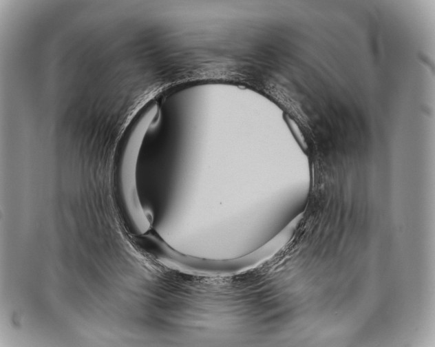 X0000097810156200804111000