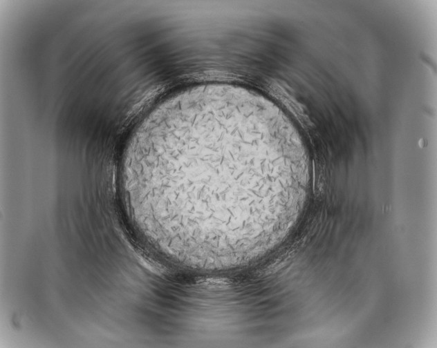 X0000097810157200804111000