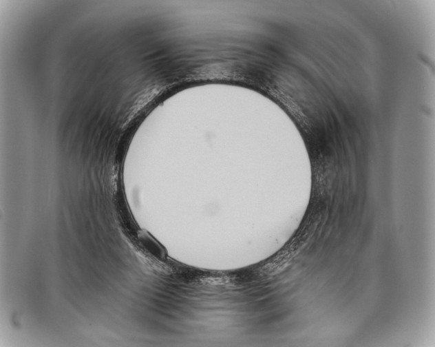 X0000097810160200804111000