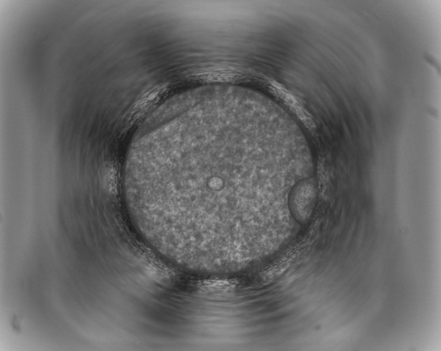 X0000097810161200804111000