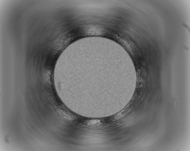 X0000097810162200804111000