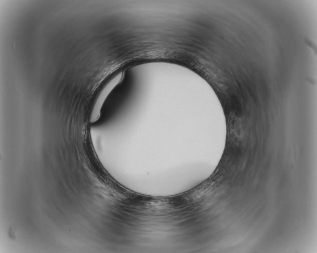 X0000097810164200804111000