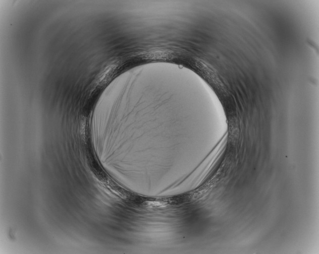 X0000097810167200804111000