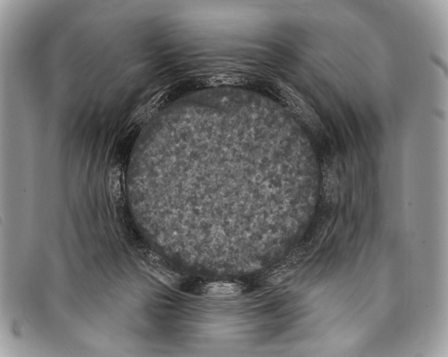 X0000097810169200804111000