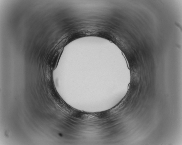 X0000097810170200804111000