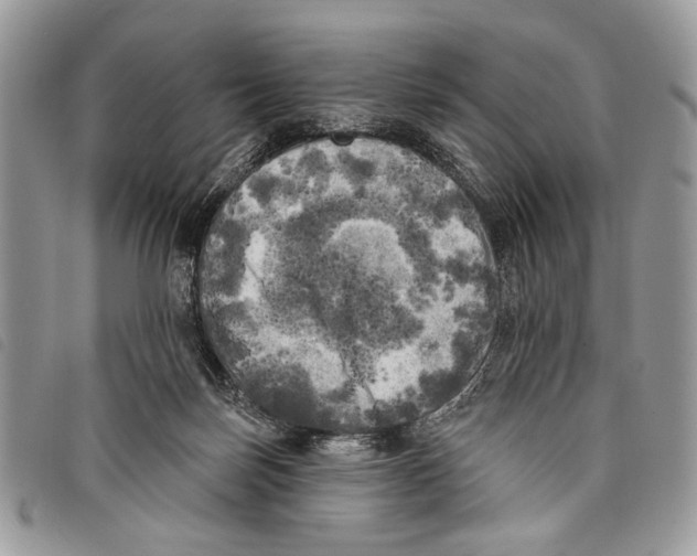 X0000097810171200804111000