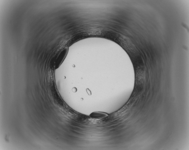 X0000097810172200804111000