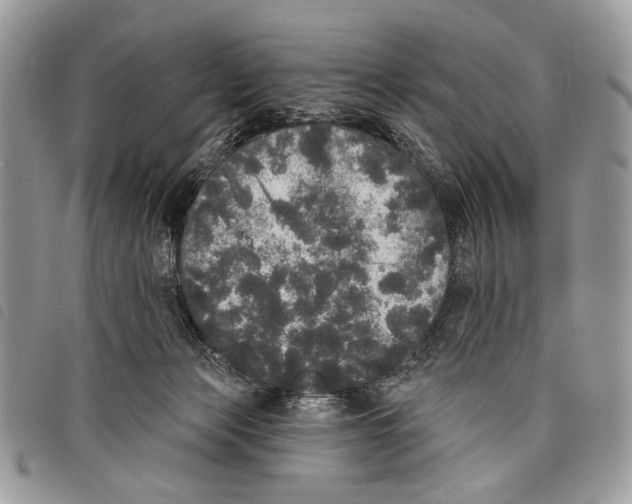 X0000097810173200804111000