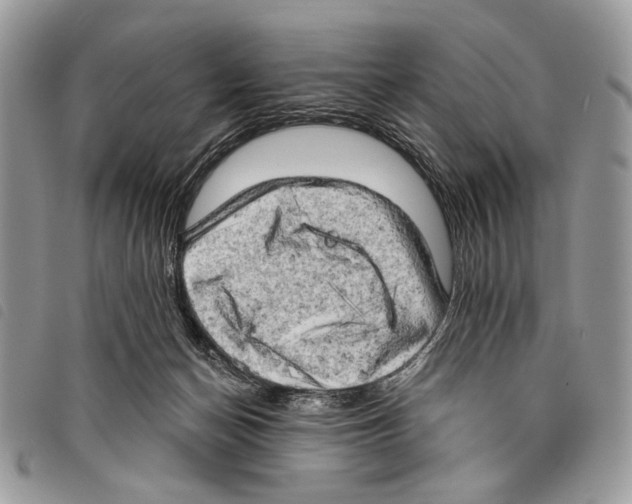 X0000097810174200804111000