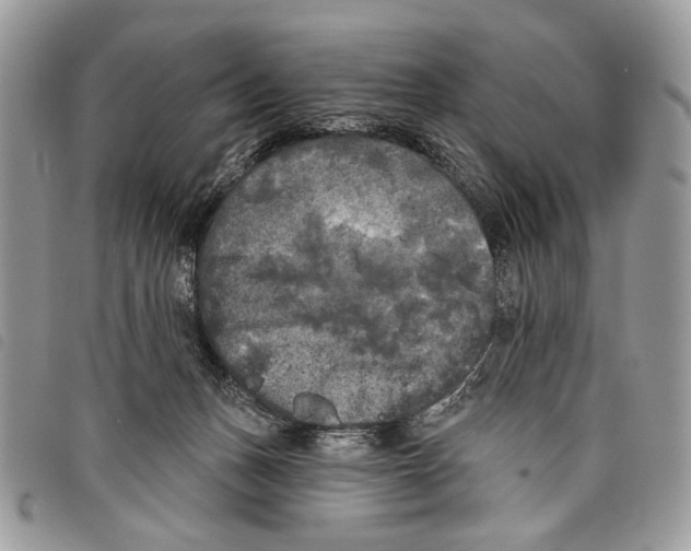 X0000097810175200804111000