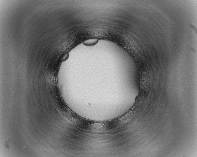 X0000097810176200804111000