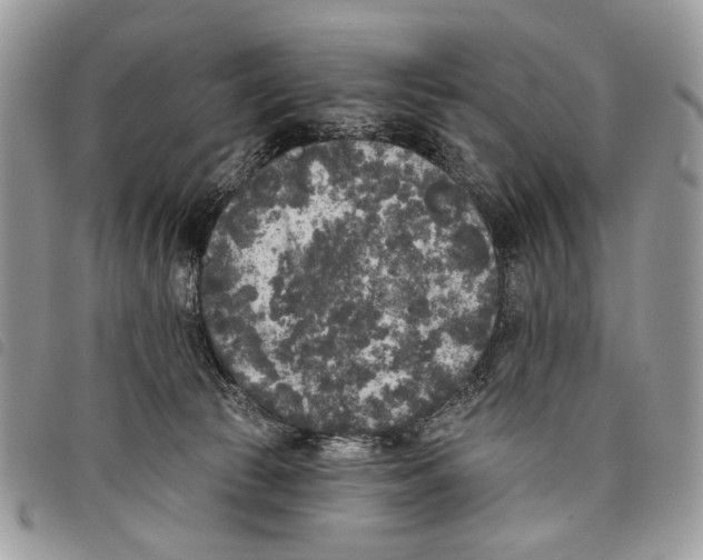 X0000097810177200804111000