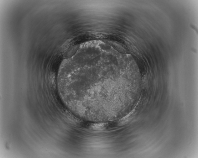 X0000097810178200804111000