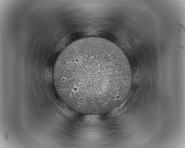 X0000097810179200804111000