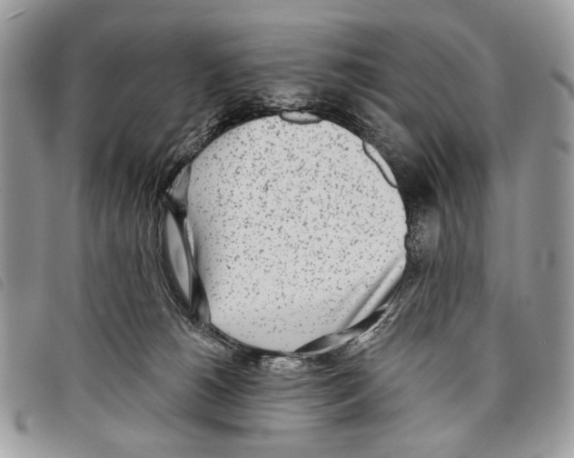 X0000097810180200804111000