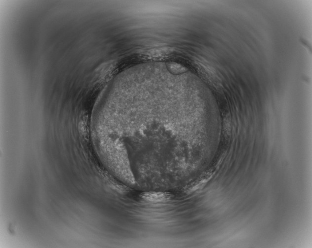 X0000097810181200804111000