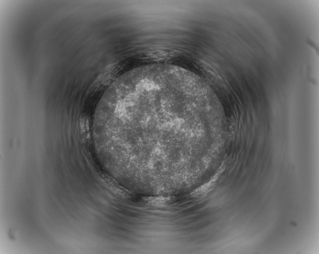 X0000097810182200804111000