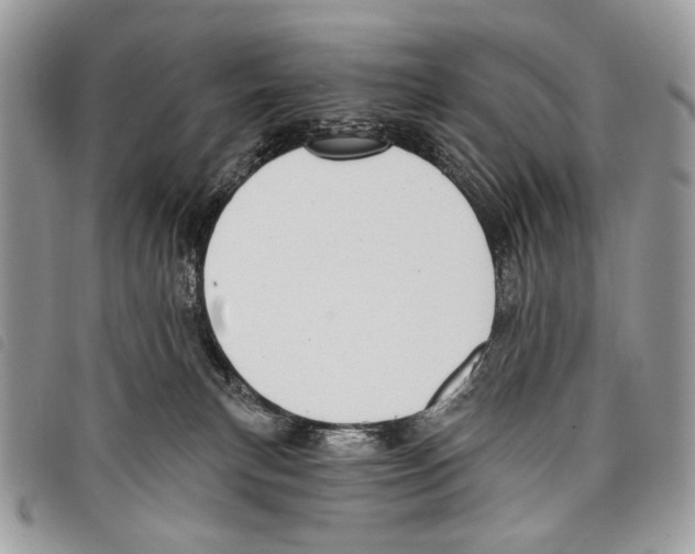 X0000097810183200804111000