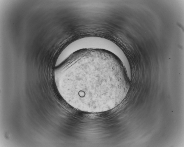 X0000097810184200804111000