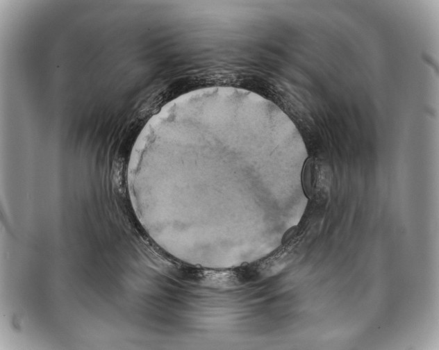 X0000097810185200804111000