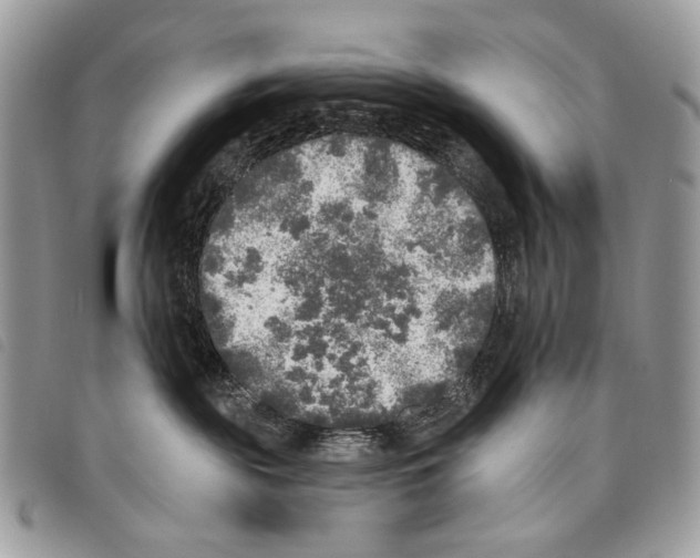 X0000097810189200804111000