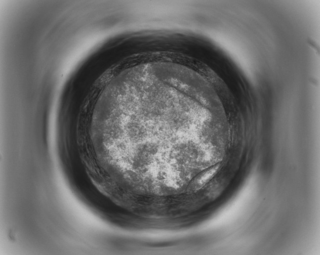 X0000097810191200804111000