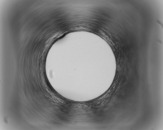 X0000097810193200804111000