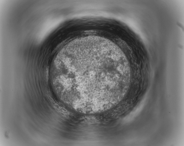 X0000097810194200804111000