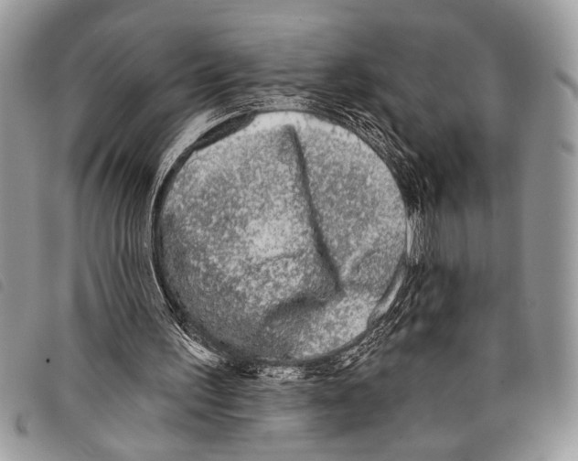 X0000097810195200804111000