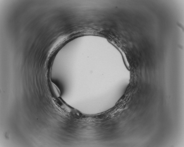 X0000097810197200804111000