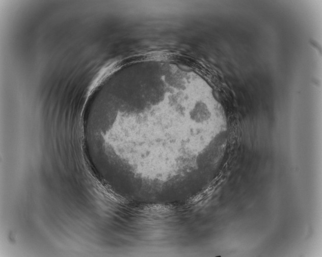 X0000097810198200804111000