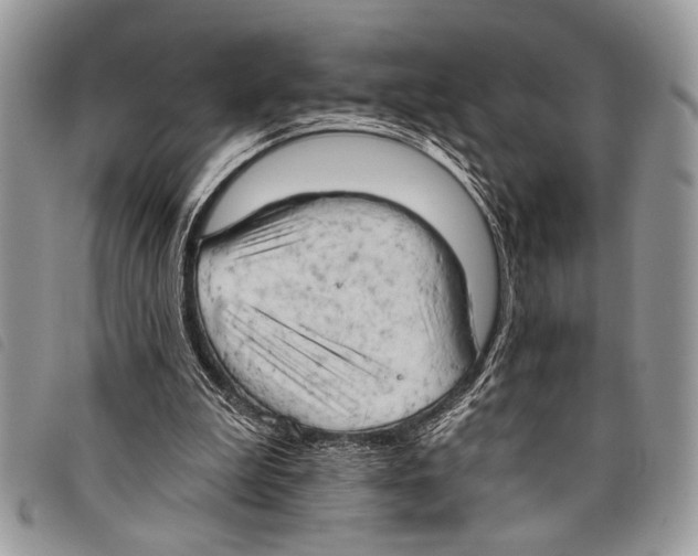 X0000097810199200804111000