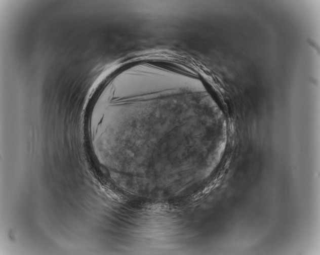 X0000097810200200804111000