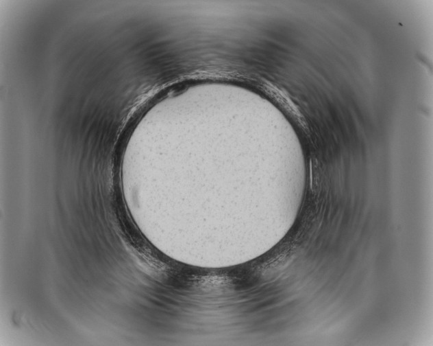 X0000097810204200804111000