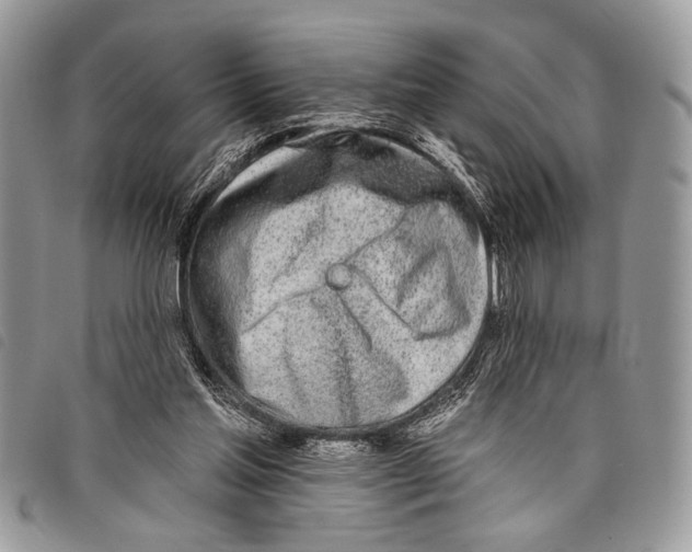 X0000097810205200804111000