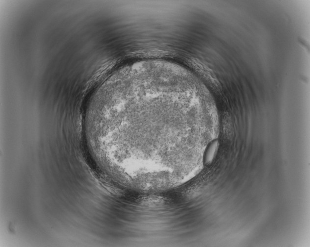 X0000097810206200804111000