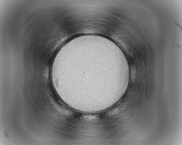 X0000097810208200804111000