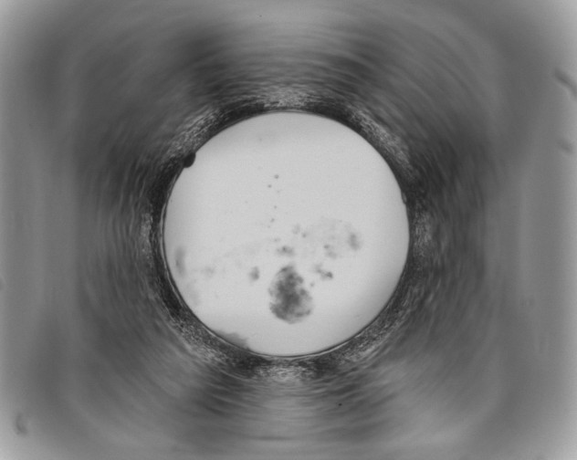 X0000097810209200804111000