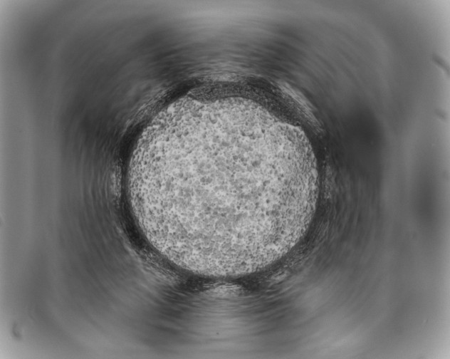 X0000097810210200804111000